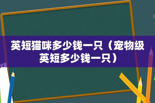 英短猫咪多少钱一只（宠物级英短多少钱一只）