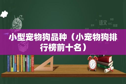 小型宠物狗品种（小宠物狗排行榜前十名）