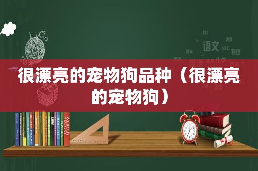 很漂亮的宠物狗品种（很漂亮的宠物狗）