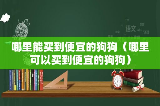 哪里能买到便宜的狗狗（哪里可以买到便宜的狗狗）