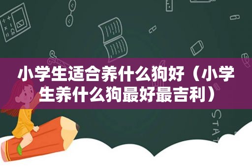 小学生适合养什么狗好（小学生养什么狗最好最吉利）