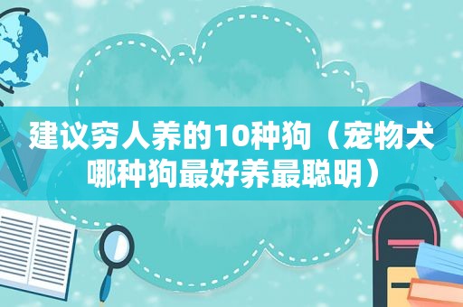 建议穷人养的10种狗（宠物犬哪种狗最好养最聪明）