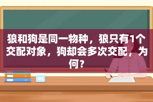 狼和狗是同一物种，狼只有1个交配对象，狗却会多次交配，为何？