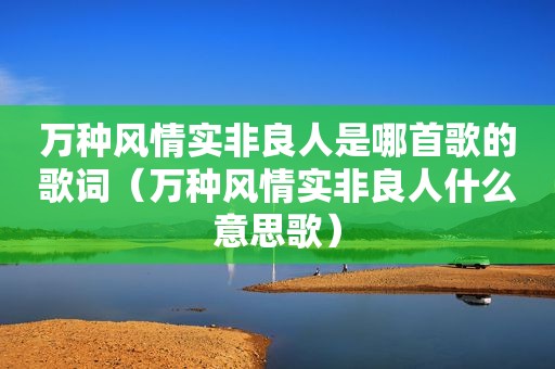 万种风情实非良人是哪首歌的歌词（万种风情实非良人什么意思歌）