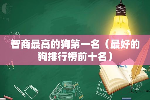 智商最高的狗第一名（最好的狗排行榜前十名）