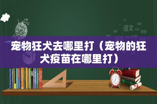 宠物狂犬去哪里打（宠物的狂犬疫苗在哪里打）