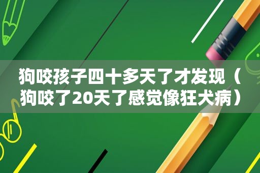 狗咬孩子四十多天了才发现（狗咬了20天了感觉像狂犬病）