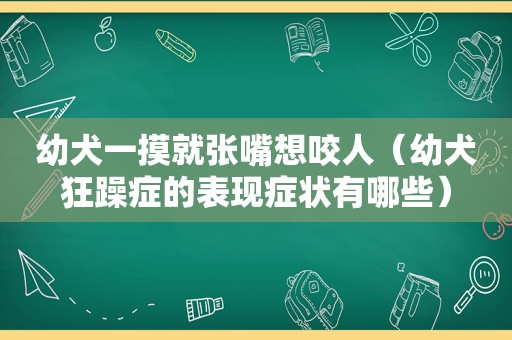 幼犬一摸就张嘴想咬人（幼犬狂躁症的表现症状有哪些）