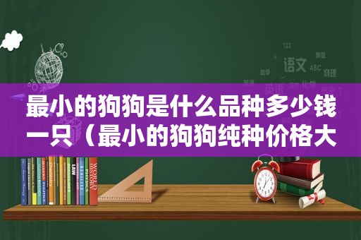 最小的狗狗是什么品种多少钱一只（最小的狗狗纯种价格大全）