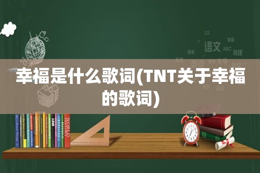 幸福是什么歌词(TNT关于幸福的歌词)