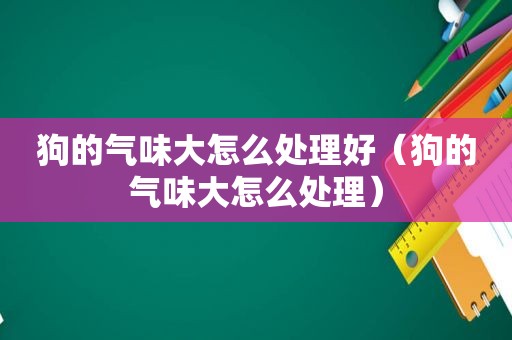 狗的气味大怎么处理好（狗的气味大怎么处理）