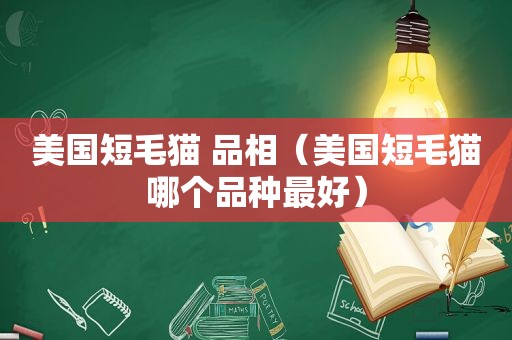 美国短毛猫 品相（美国短毛猫哪个品种最好）