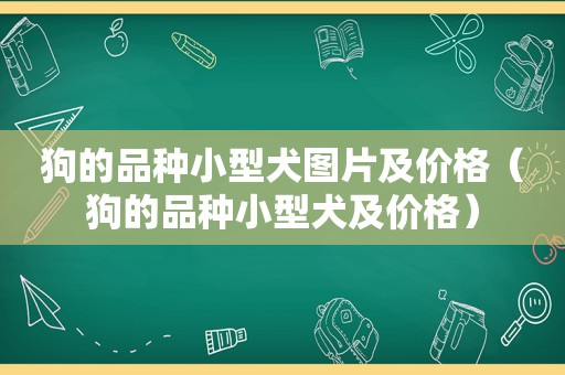 狗的品种小型犬图片及价格（狗的品种小型犬及价格）