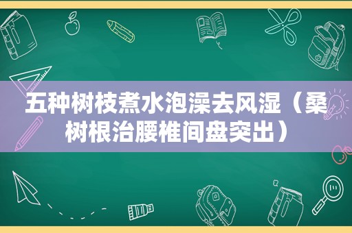 五种树枝煮水泡澡去风湿（桑树根治腰椎间盘突出）