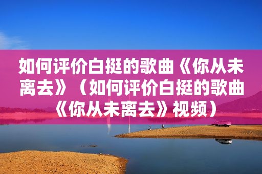 如何评价白挺的歌曲《你从未离去》（如何评价白挺的歌曲《你从未离去》视频）