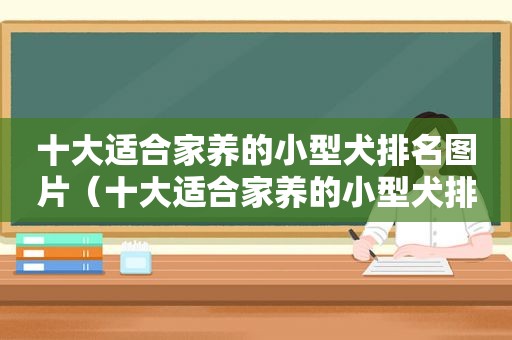 十大适合家养的小型犬排名图片（十大适合家养的小型犬排名）