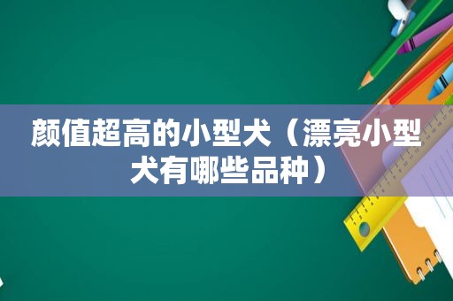 颜值超高的小型犬（漂亮小型犬有哪些品种）