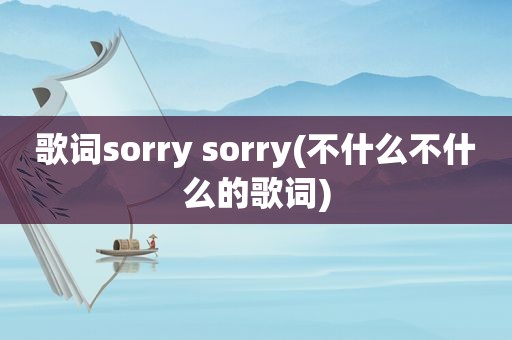 歌词sorry sorry(不什么不什么的歌词)