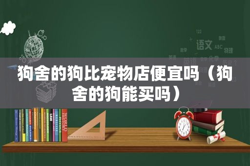 狗舍的狗比宠物店便宜吗（狗舍的狗能买吗）