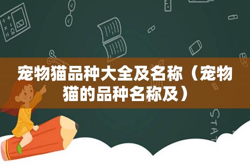 宠物猫品种大全及名称（宠物猫的品种名称及）