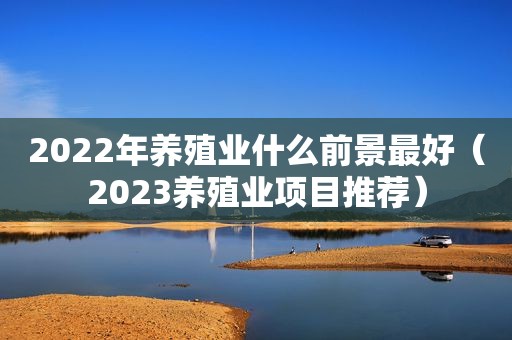 2022年养殖业什么前景最好（2023养殖业项目推荐）