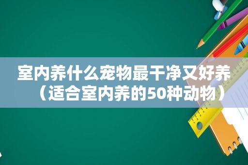 室内养什么宠物最干净又好养（适合室内养的50种动物）