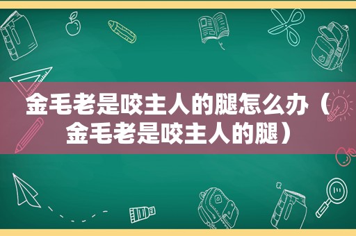 金毛老是咬主人的腿怎么办（金毛老是咬主人的腿）