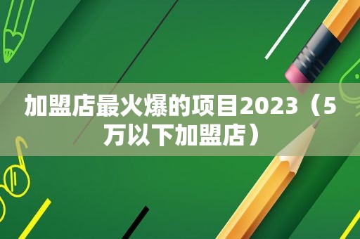 加盟店最火爆的项目2023（5万以下加盟店）