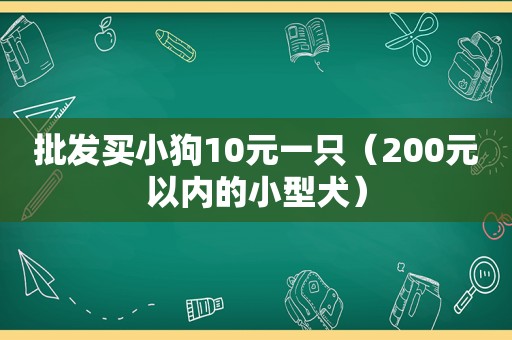 批发买小狗10元一只（200元以内的小型犬）