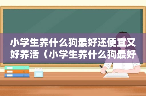 小学生养什么狗最好还便宜又好养活（小学生养什么狗最好还便宜又好养）