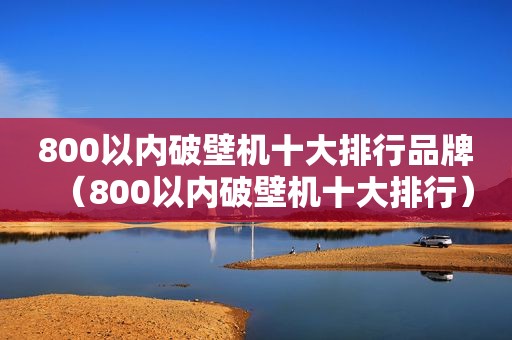 800以内破壁机十大排行品牌（800以内破壁机十大排行）