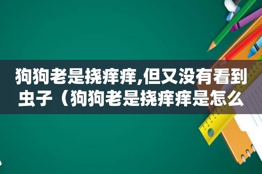 狗狗老是挠痒痒,但又没有看到虫子（狗狗老是挠痒痒是怎么回事）