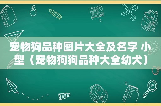 宠物狗品种图片大全及名字 小型（宠物狗狗品种大全幼犬）