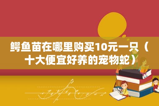 鳄鱼苗在哪里购买10元一只（十大便宜好养的宠物蛇）