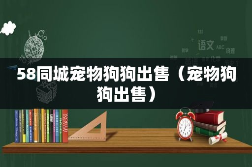 58同城宠物狗狗出售（宠物狗狗出售）