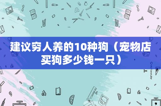 建议穷人养的10种狗（宠物店买狗多少钱一只）