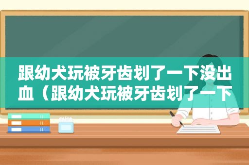 跟幼犬玩被牙齿划了一下没出血（跟幼犬玩被牙齿划了一下）