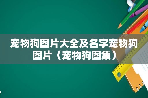 宠物狗图片大全及名字宠物狗图片（宠物狗图集）