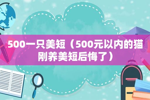 500一只美短（500元以内的猫刚养美短后悔了）