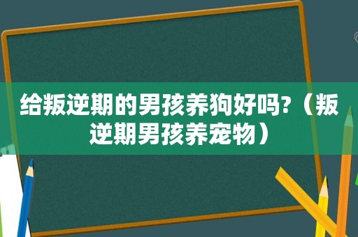 给叛逆期的男孩养狗好吗?（叛逆期男孩养宠物）