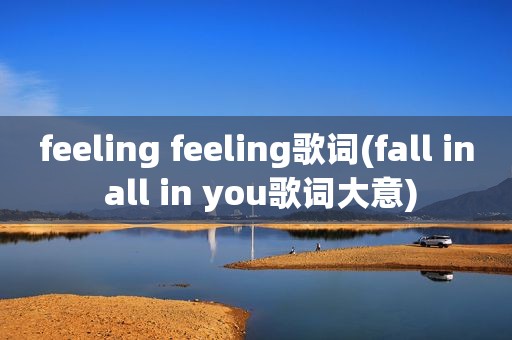 feeling feeling歌词(fall in all in you歌词大意)