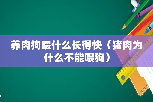 养肉狗喂什么长得快（猪肉为什么不能喂狗）