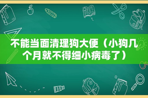 不能当面清理狗大便（小狗几个月就不得细小病毒了）