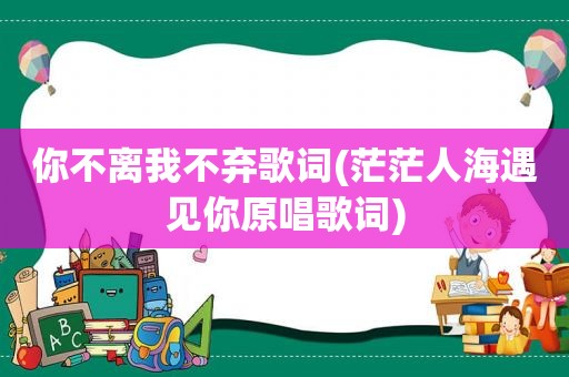 你不离我不弃歌词(茫茫人海遇见你原唱歌词)