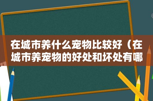 在城市养什么宠物比较好（在城市养宠物的好处和坏处有哪些）