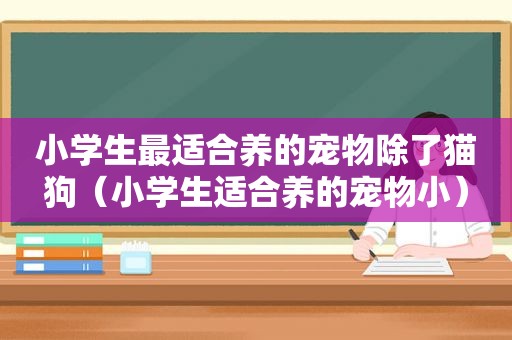 小学生最适合养的宠物除了猫狗（小学生适合养的宠物小）