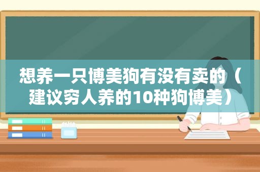 想养一只博美狗有没有卖的（建议穷人养的10种狗博美）