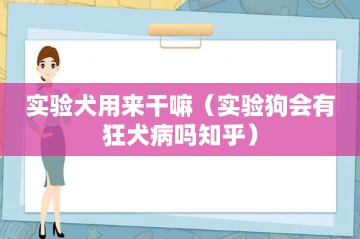 实验犬用来干嘛（实验狗会有狂犬病吗知乎）