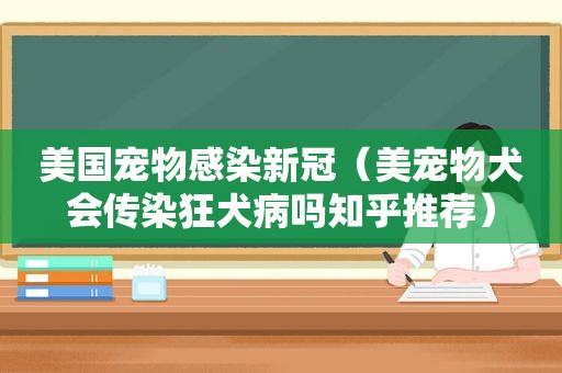 美国宠物感染新冠（美宠物犬会传染狂犬病吗知乎推荐）