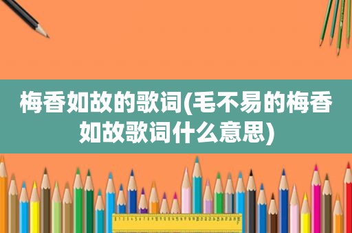 梅香如故的歌词(毛不易的梅香如故歌词什么意思)